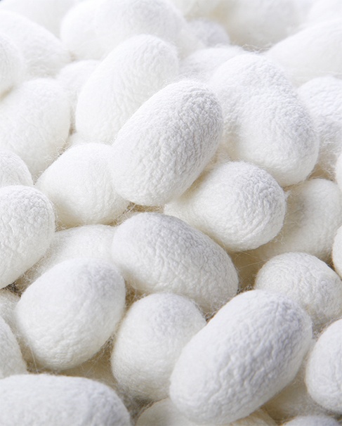 精挑細(xì)選 控制源頭