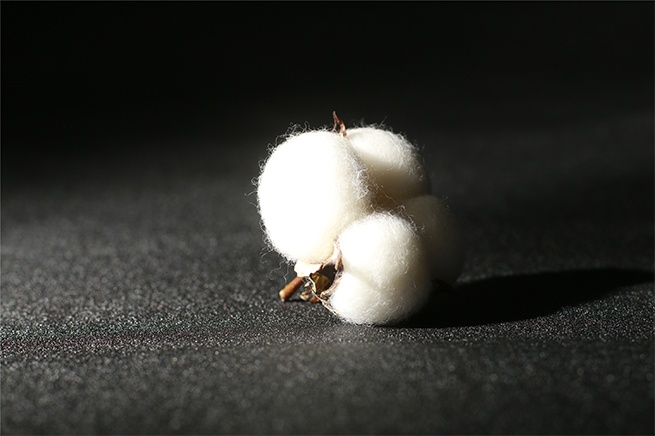 面料-來自13小時日曬的新疆