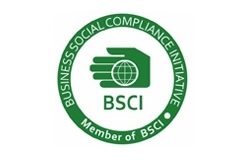 BSCI factory audit C-level certification